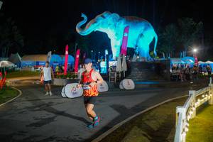 BIB: 
                            <button type="button" onclick="openModal(26551996)" class="btn btn-primary btn-sm float-right btn-popup" data-toggle="modal" data-target=".modal-high-quality">
                        <i class="fas fa-shopping-cart"></i> Add to Cart
                    </button>
                                            <button type="button" onclick="isThisMe(26551996, true)" class="btn btn-success btn-sm float-right btn-popup btn-isme hidden" data-toggle="tooltip" data-placement="bottom" title="นี่คือรูปของคุณใช่ไหม คลิกที่นี่เพื่อเอาเข้าอัลบั้ม">
                        <i class="fas fa-plus"></i> Add to album
                    </button>
                    <button type="button" onclick="isThisMe(26551996, false)" class="btn btn-warning btn-sm float-right btn-popup btn-isnotme hidden">
                        <i class="fas fa-ban"></i> Remove from album
                    </button>